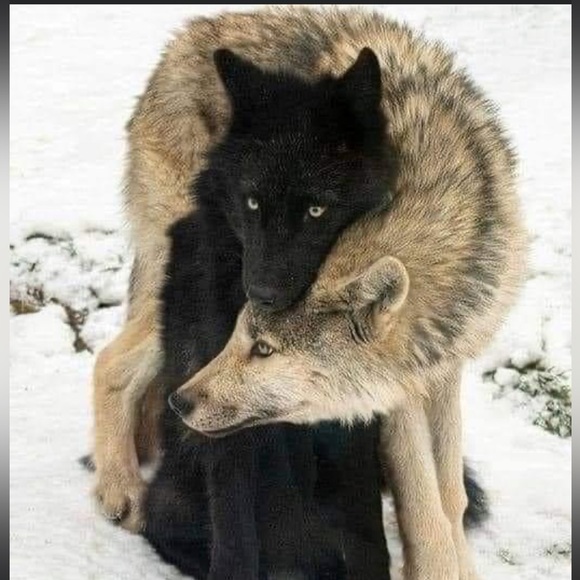 Meet your Posher, Kristina - Picture 7 of 7